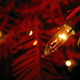 Illustration for article titled Photo Contest: Christmas Lights
